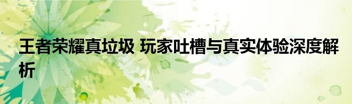 王者荣耀真垃圾 玩家吐槽与真实体验深度解析